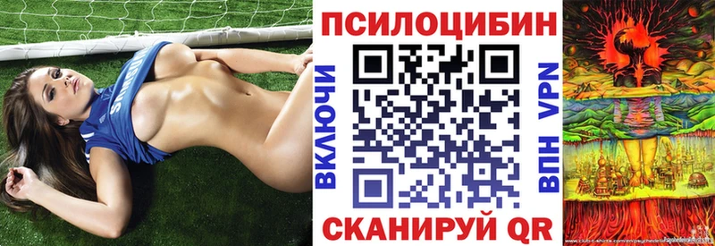 гидра онион  Богородск  Псилоцибиновые грибы ЛСД  купить закладку 