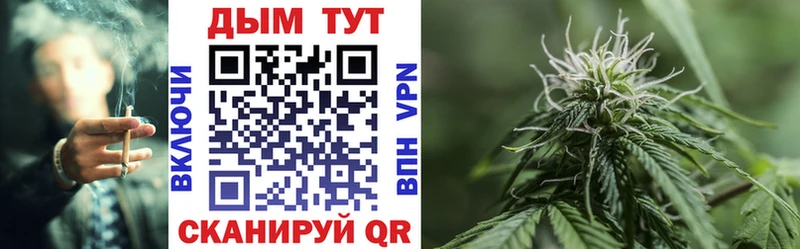 Шишки марихуана VHQ  магазин продажи наркотиков  Богородск 